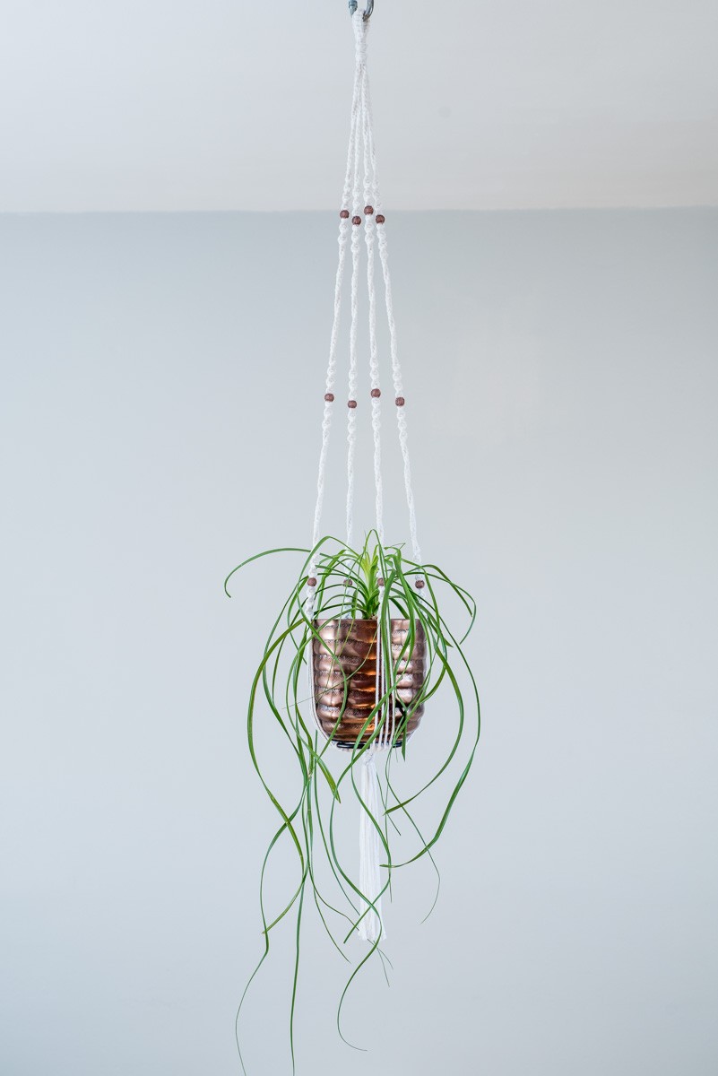 suspension macramé plante