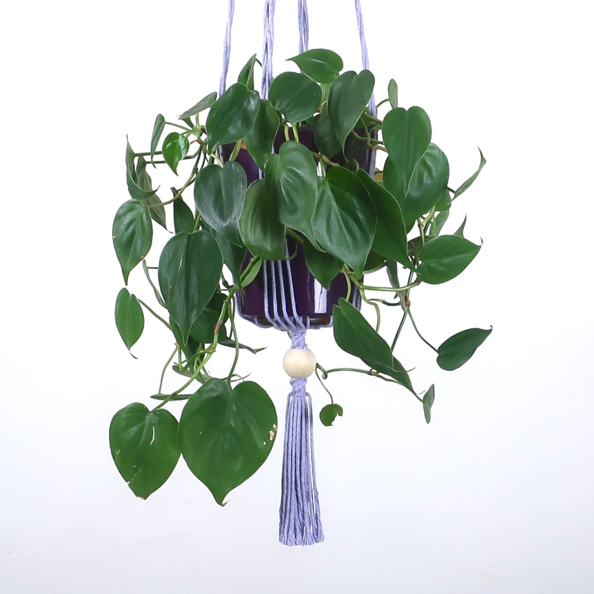 porte plante en macramé