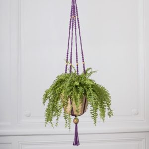 suspension plante en macramé violet