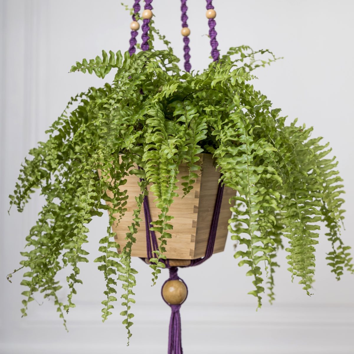 suspension plante en macramé violet