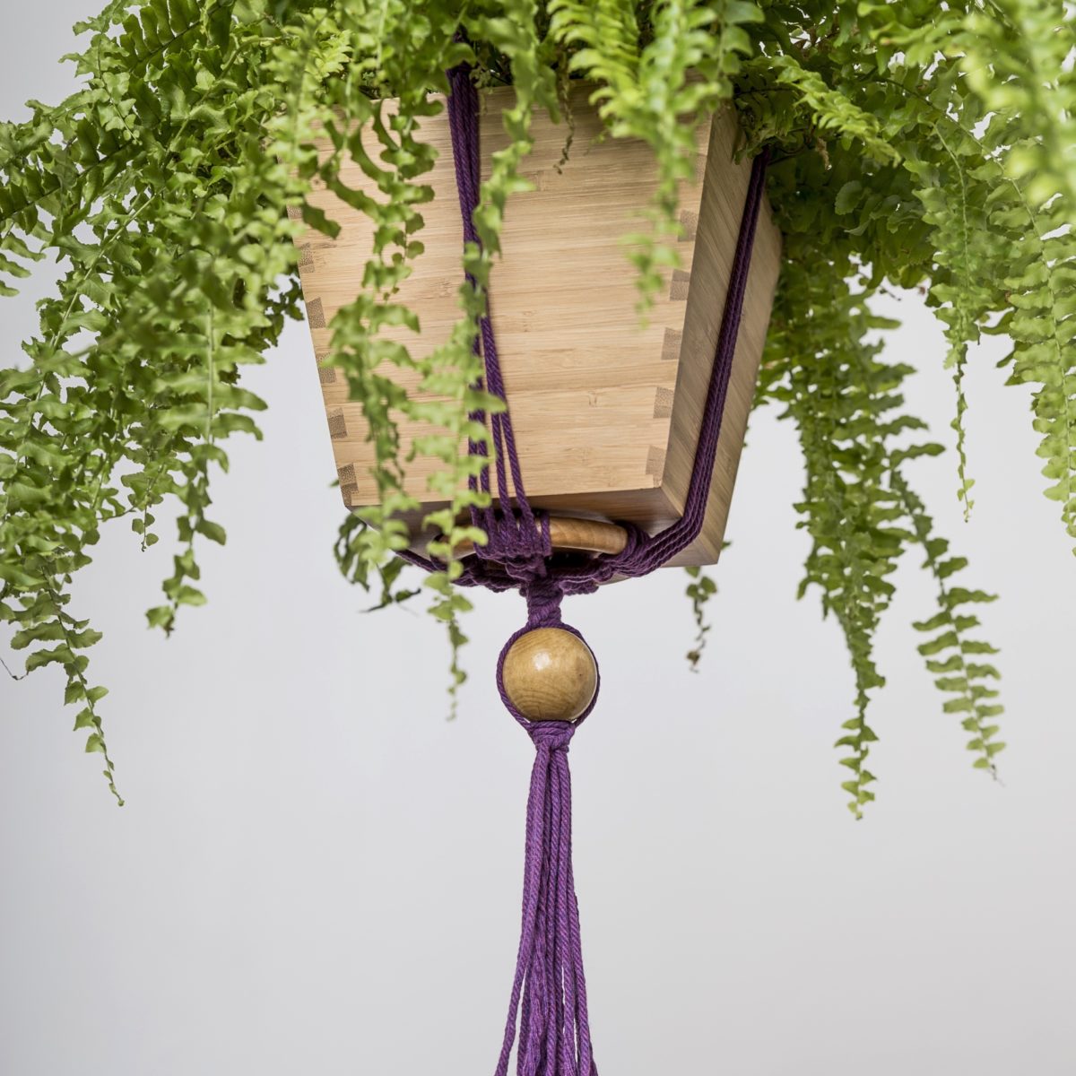 suspension plante en macramé violet