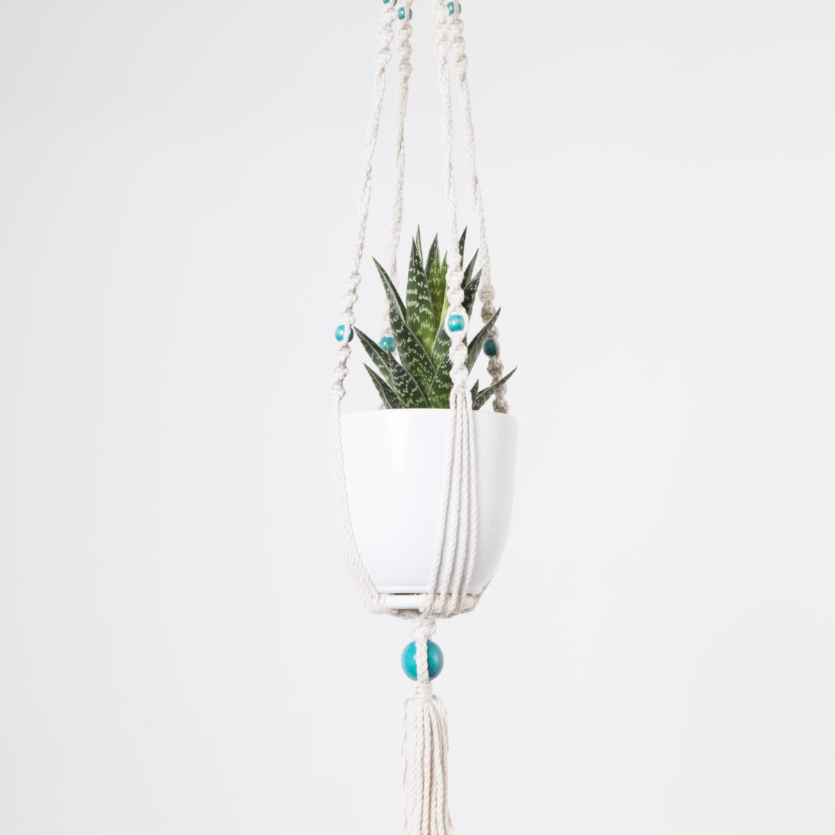 suspension macramé plante