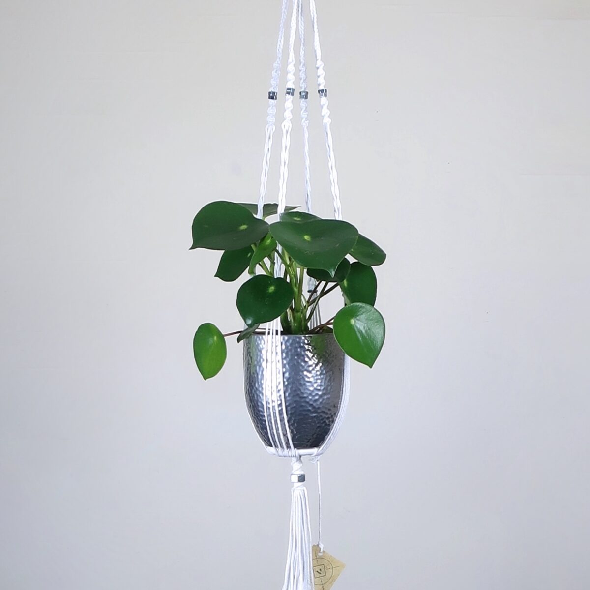 suspension macramé pour plante