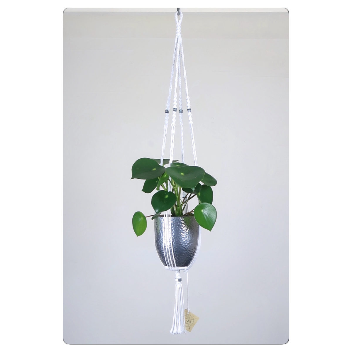 suspension macramé pour plante