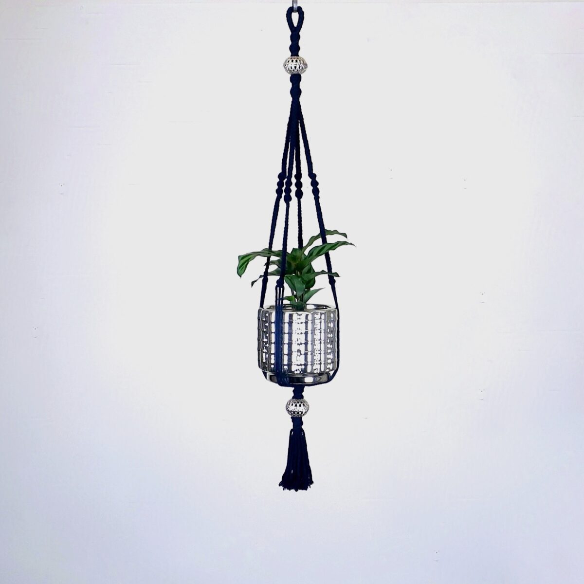 petite suspension pour plante