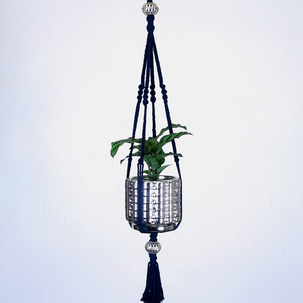 petite suspension pour plante