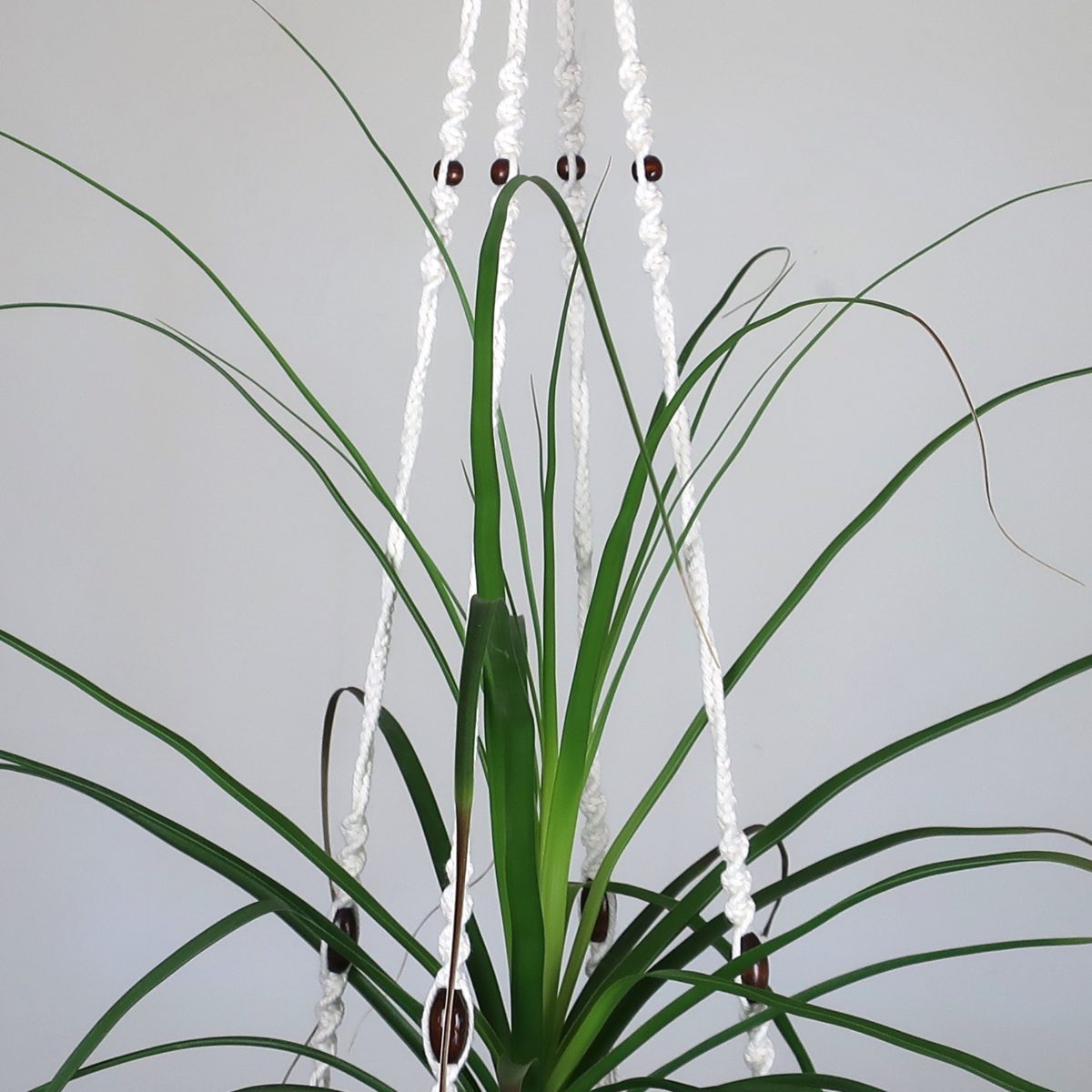 Suspension macramé pour plante d'intérieur