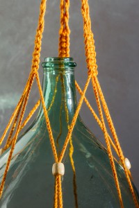 suspension plantes