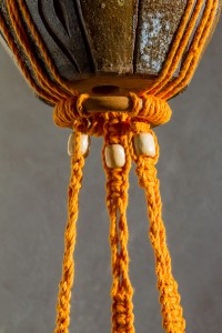 suspension plantes