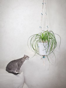 suspension pour plante en macramé