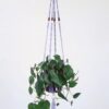 porte plante en macramé violet