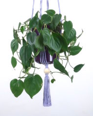 suspension-macrame-plante-bymadjo