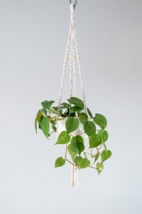 suspension en macramé blanche