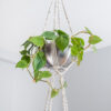 Suspension en macramé double pour plantes