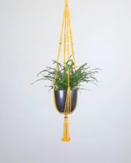 suspension-macrame-plante-bymadjo