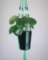 suspension pour plante en macramé vert