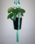 suspension pour plante en macramé vert
