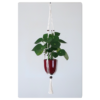 suspension en macramé pour plante