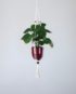 suspension en macramé pour plante