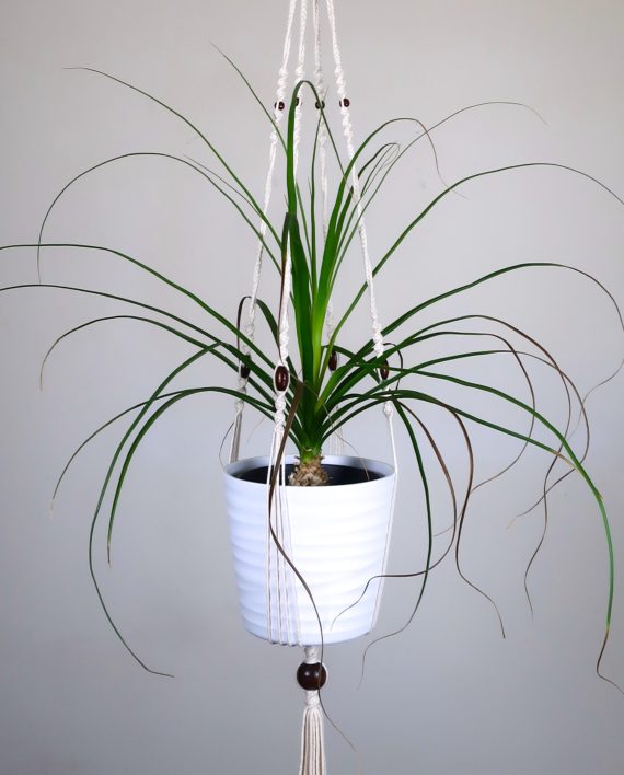 suspension-macrame-plante-bymadjo