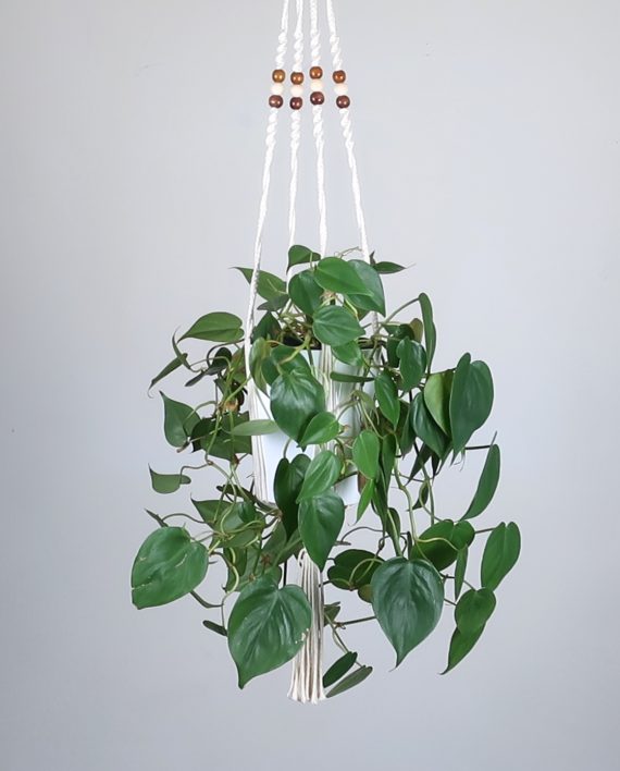 suspension-macrame-plante-bymadjo